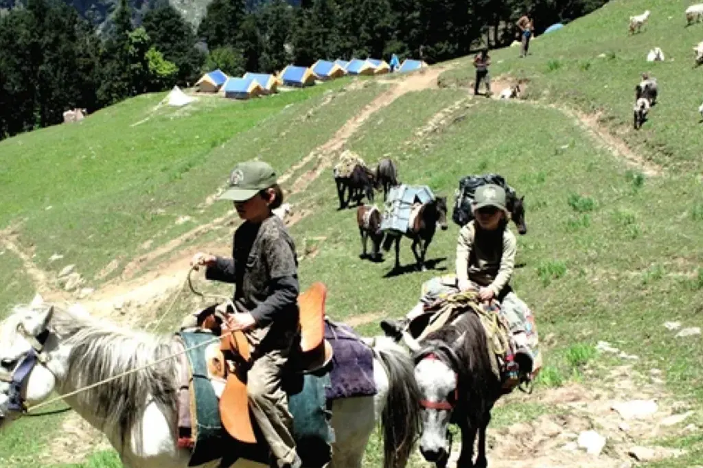Horse Safari in solang valley