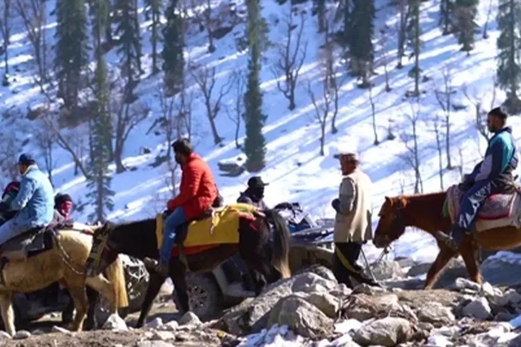 Horse riding in Manali