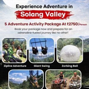 Combo package of 5 activities